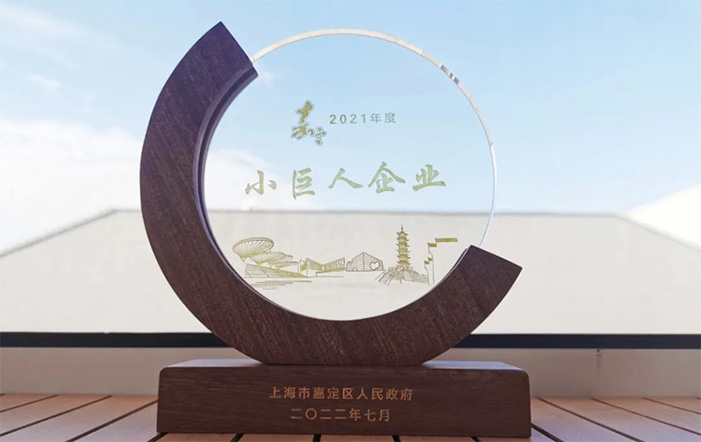 喜報(bào)|汩鴻環(huán)保獲評(píng)嘉定區(qū)“小巨人企業(yè)”(圖1)